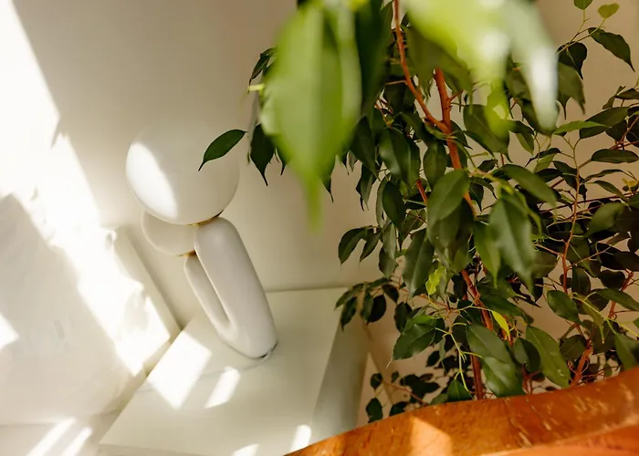 Boutique Studio, Bundeshausblick I Naehe Altstadt Апартаменты *